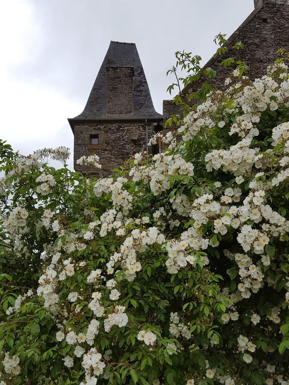Bed and Breakfast Manoir De La Branche Maen Roch Екстер'єр фото