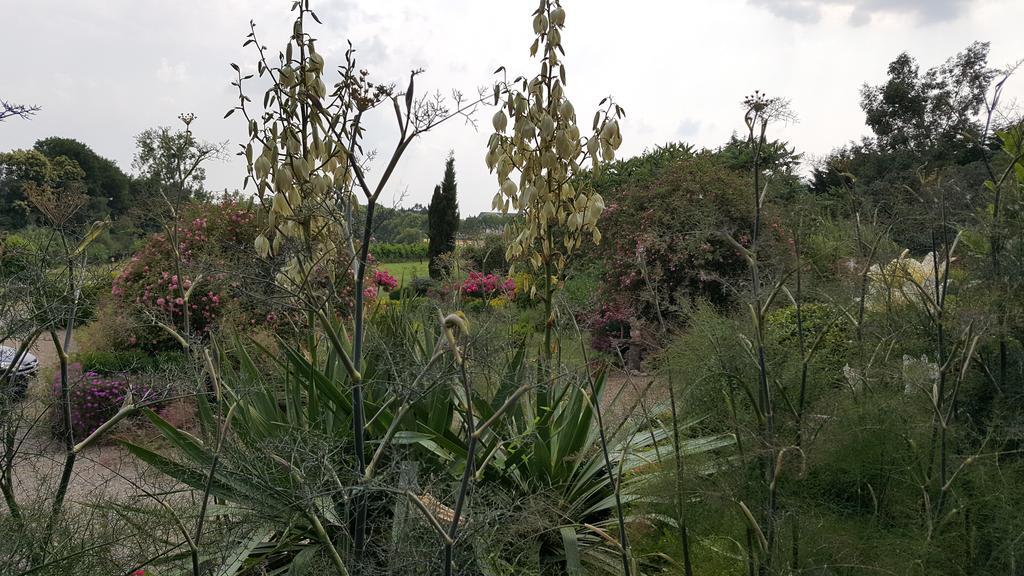 Bed and Breakfast Manoir De La Branche Maen Roch Екстер'єр фото