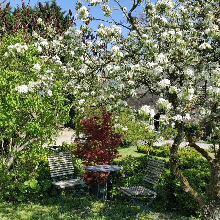 Bed and Breakfast Manoir De La Branche Maen Roch Екстер'єр фото